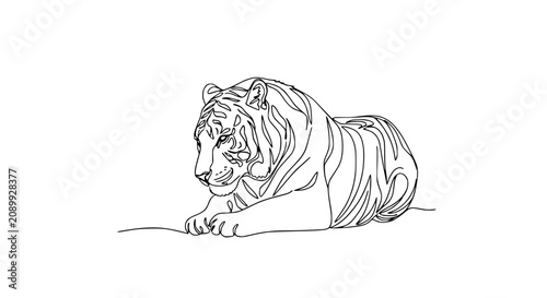 Photography Minimalist Tiger Line Art Drawing, Single Line Continuous Art, Animal Illustrati