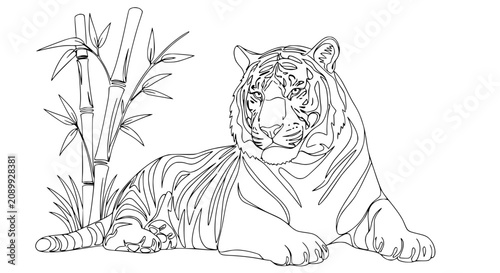 Tableau sur toile Elegant Tiger Lying Down with Bamboo Outline Illustration