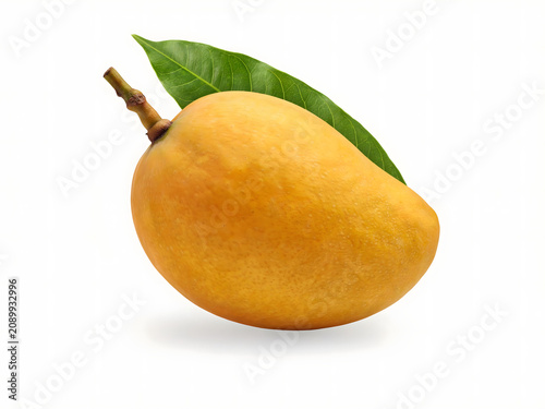 Fresh orange mango fruit with green leaves, isolated on white background