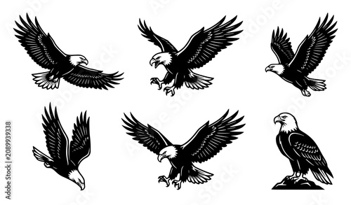 Cuadro en lienzo Flying Eagle Silhouette Collection with Different Soaring Hunting and Perching B