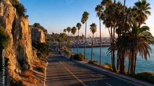 Coastal road descending toward Dana Point Harbor at golden hour