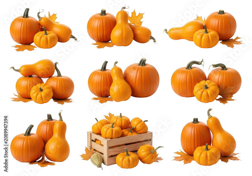 Collection of various orange pumpkins and butternut squashes with fall leaves arranged in a wooden crate isolated on a black background