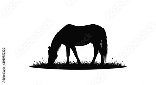 Bild auf Leinwand A grazing horse depicted in a black silhouette against a plain white background