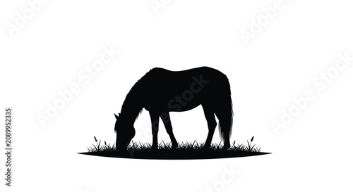 Foto A grazing horse depicted as a black silhouette against a white background silhou