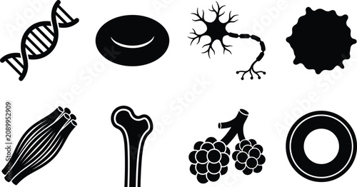 Bild auf Leinwand Human anatomy and biology micro cell silhouette icon set featuring DNA neuron bo