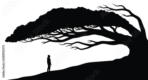Photos Large tree and lone figure on a hill depicted as a black silhouette foliage bran