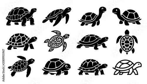 Bild auf Leinwand Turtles Icon Set with Black Silhouettes, Decorative Patterns, and Isolated Vecto