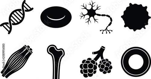 Foto Human anatomy and biology micro cell silhouette icon set featuring DNA neuron bo