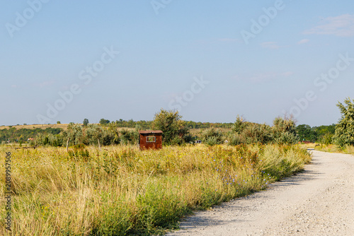 Quiet rural road through an overgrown countryside landscape
