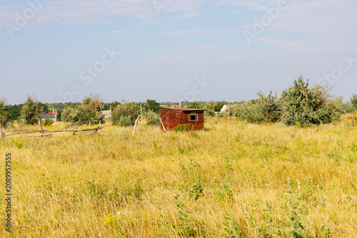 Horned cow standing in a sunny rural meadow