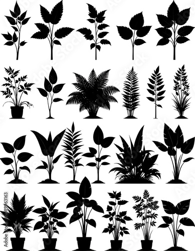 A collection of black silhouettes of various plants on a white background