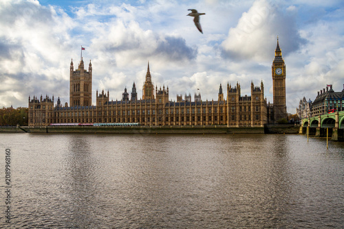 Palace of Westminster and Big Ben with a flying seagull in London