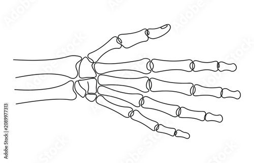 Continuous line drawing of hand skeleton, Black and white vector minimalist illustration.