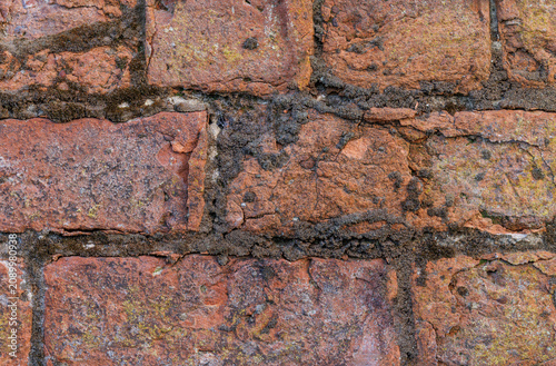 Fotografie Background of old red bricks inset in a wall with lichen