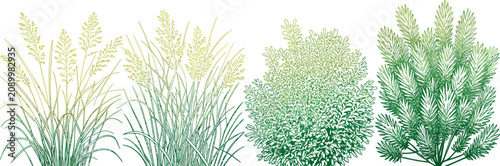 Four green and yellow gradient illustrations of grasses and bushes grasses, bushes