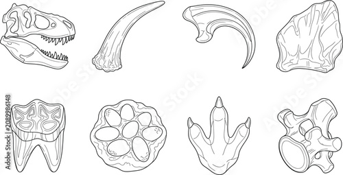 Photos Dinosaur fossil line art icon set featuring prehistoric skull, bone, footprint,
