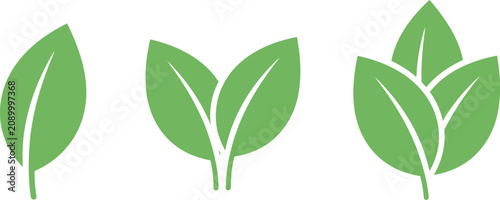 Green leaves icons set isolated on transparent background for nature organic and ecology themes logo. Vector illustration