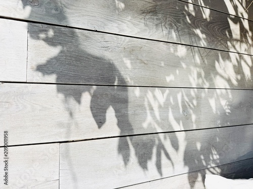 Foto Leaf shadows on white wooden planks in sunlight