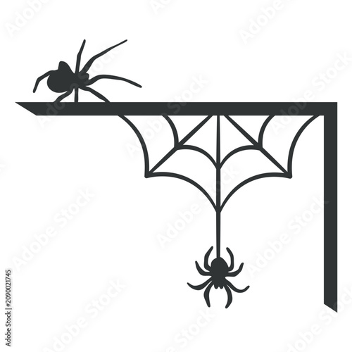 фотографія Spiders and a spider web