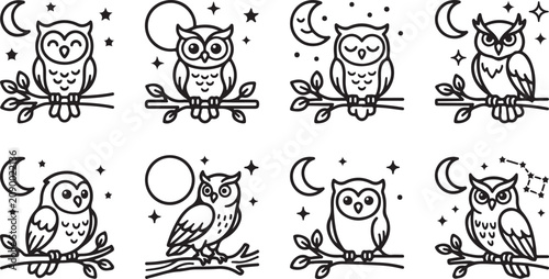 Bild auf Leinwand Black and white owl perched on a branch under moonlight
