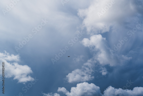 Bild auf Leinwand Small Airplane in a Dramatic Summer Cloudy Sky