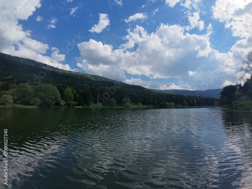A wonderful photo taken in the untouched nature of the Black Sea region.