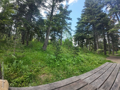 A wonderful photo taken in the untouched nature of the Black Sea region.