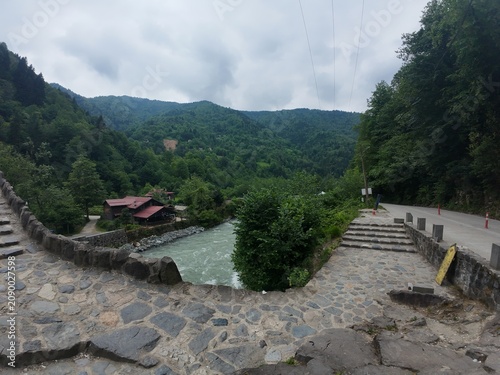 A wonderful photo taken in the untouched nature of the Black Sea region.