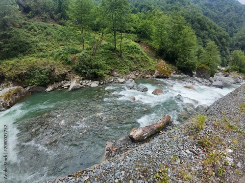 A wonderful photo taken in the untouched nature of the Black Sea region.