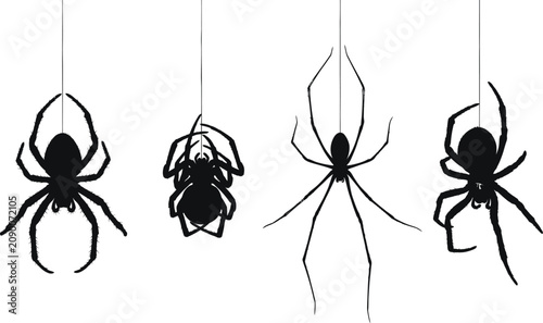 Canvastavla Four black spiders hanging from threads, isolated on a white background in a modern flat design style