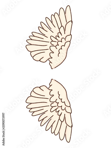 Wings