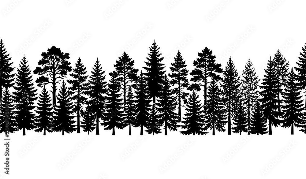 Obraz premium Evergreen forest silhouette collection with Christmas spruce trees and woodland panorama