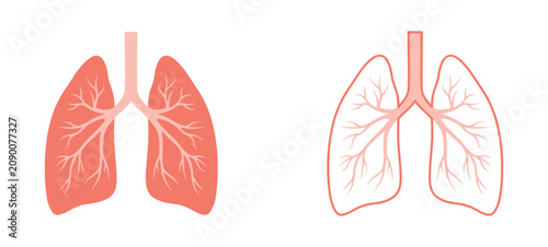 Fotografía Anatomy of the Lungs: A graphic representation showing the structure of human lungs, with one lung appearing solid and the other outlined, highlighting the bronchial tree and lungs lobes