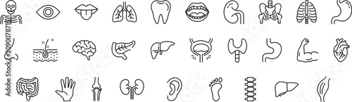 Foto Extensive set of human anatomy and medical line showing various organs, skeletal