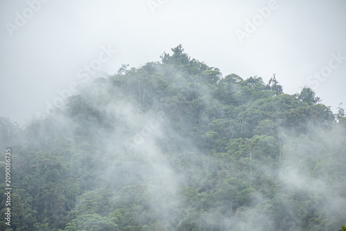 Mindo, Pichincha Province, Ecuador – June 27, 2026: Mindo Cloud Forest, a place that creates a perfect ecosystem for a vast array of flora and fauna.