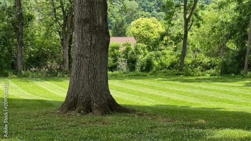 Obraz na plátně Green Lawn Mowed With Stripes Grass Striped in Lines Professional Lawn Care and