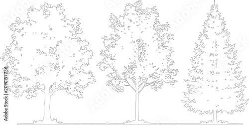 Bild auf Leinwand Set of various tree silhouettes for architectural landscape design