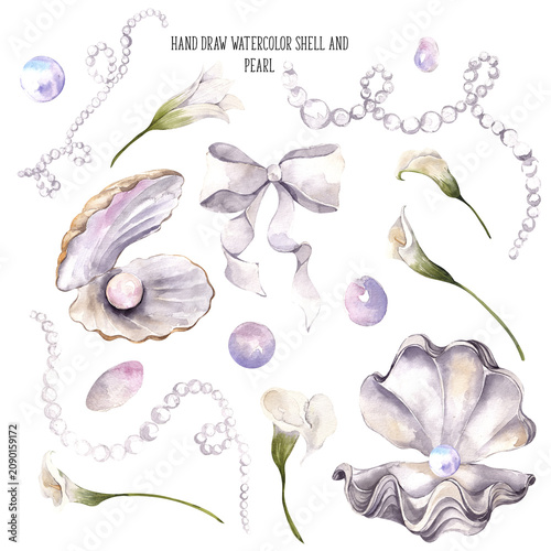 Obraz na plátne Watercolor hand draw pearl, shell and flowers, isolated on white background