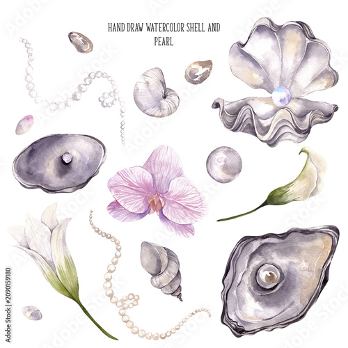Fotografie Watercolor hand draw pearl, shell and flowers, isolated on white background