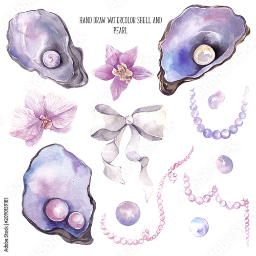 Fotografía Watercolor hand draw pearl, shell and flowers, isolated on white background