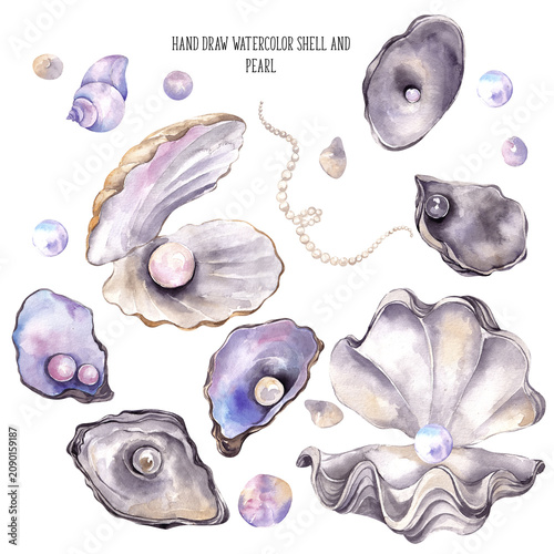 Fotografie Watercolor hand draw pearl, shell and flowers, isolated on white background