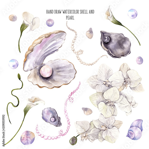 Obraz na plátne Watercolor hand draw pearl, shell and flowers, isolated on white background