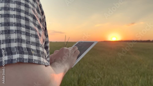 Man farmer holding tablet in agricultural field at sunset. Businessman man using tablet gadget to monitor wheat crops in farm field analyzes growth health trouble-free harvest. Male farmer with tablet