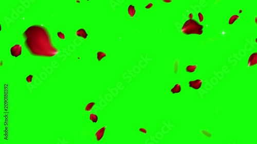 Rose petals drift gracefully downward against a vibrant green screen background for easy visual editing and compositing.