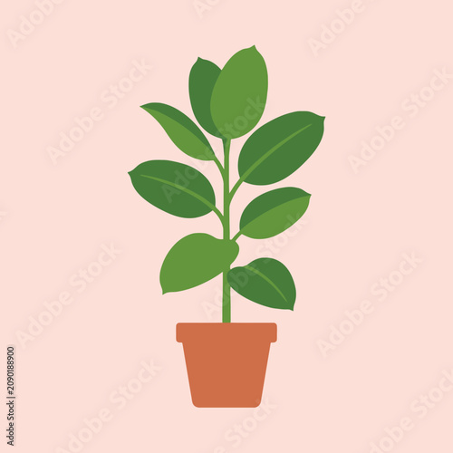 A simple green houseplant sits inside a terracotta flower pot