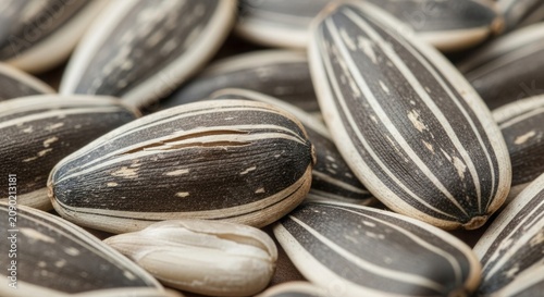 Realistic Professional Photo of Sunflower Seeds (Kuaci) With Natural Food Styling and Detailed Texture
