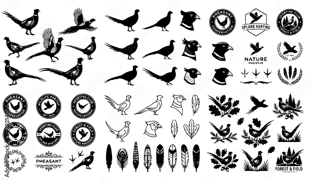 Obraz premium Pheasant icon collection vector woodland bird design