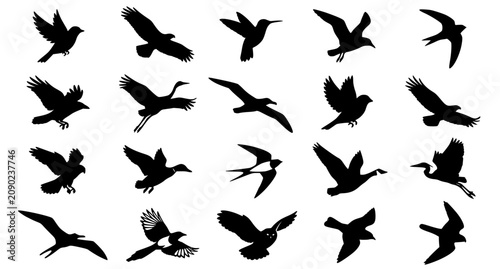 Canvas Print Elegant Flying Bird Silhouette Collection Flat Vector Illustration Isolated on W
