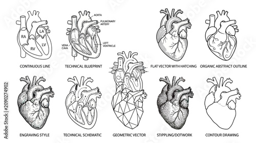 Anatomical Heart Illustrations: Various Styles - Line Art, Stippling, Geometric