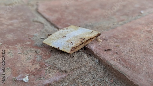 Obraz na płótnie Piece of Stale Bread on Brick Floor Outdoor